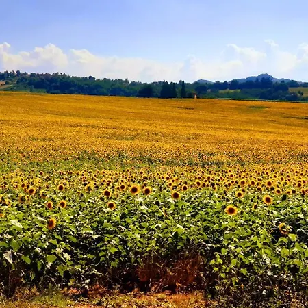 Casa Stella Couette-café Savigno