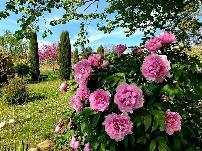 Bed & Breakfast Casa Stella 4*