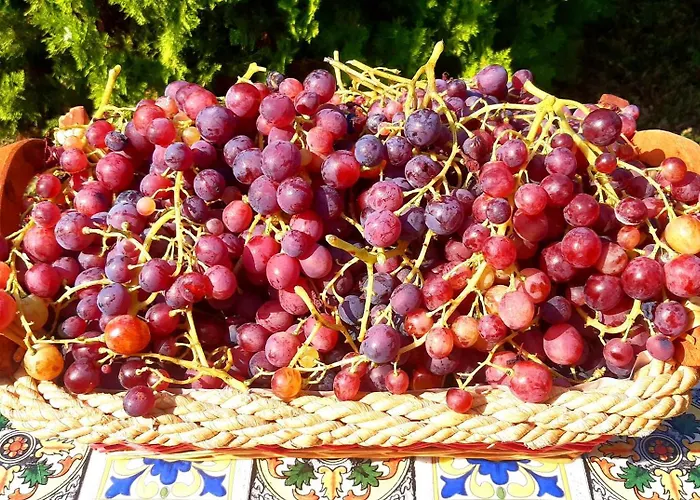 Casa Stella Bed & Breakfast