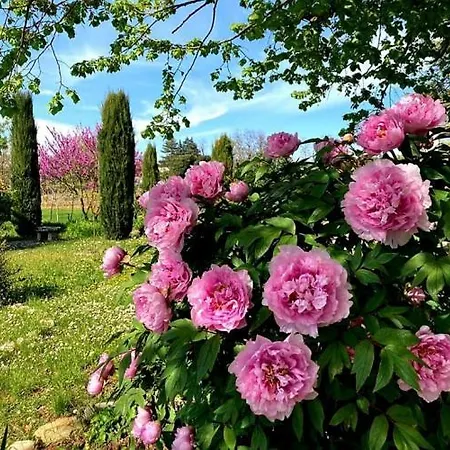 Bed & Breakfast Casa Stella *