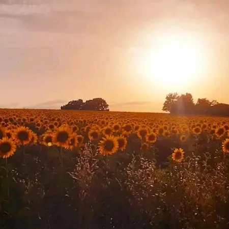 Casa Stella לינה וארוחת בוקר 4*