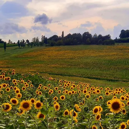 Bed & Breakfast Casa Stella