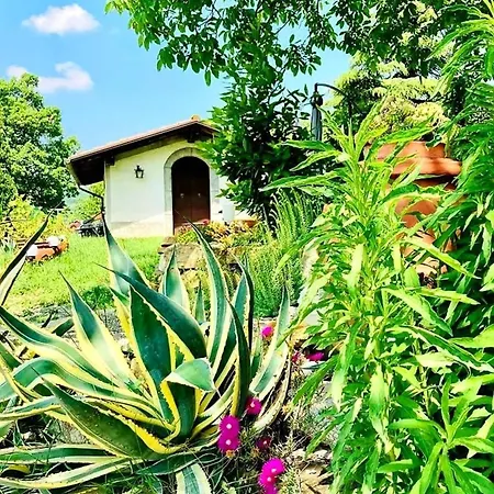 Casa Stella Bed & Breakfast