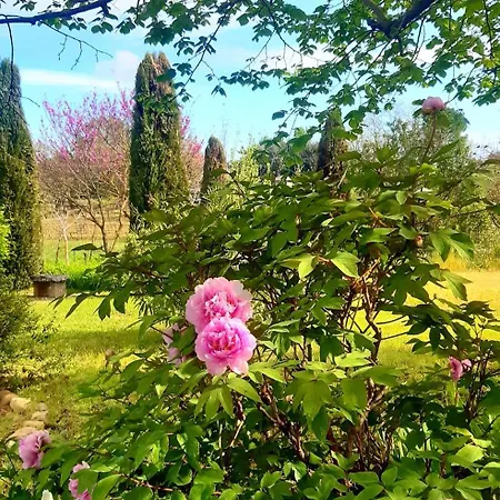 Casa Stella Bed & Breakfast 4*