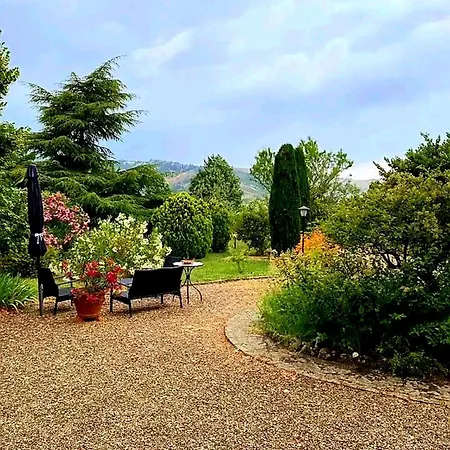 לינה וארוחת בוקר Casa Stella Savigno