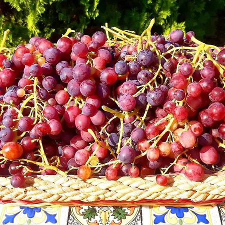 Casa Stella לינה וארוחת בוקר