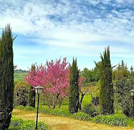 Bed & Breakfast Casa Stella 4*