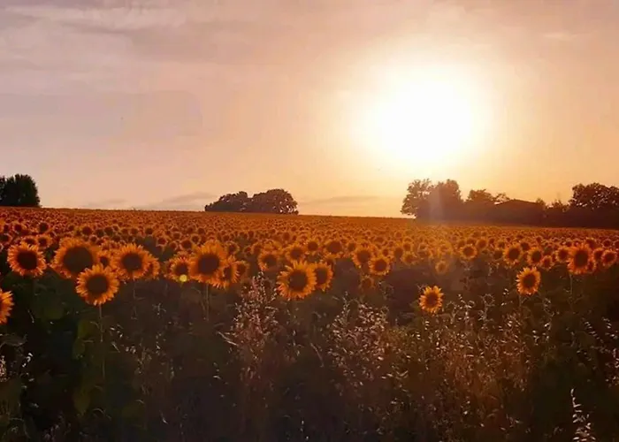 Casa Stella Frühstückspension 4*