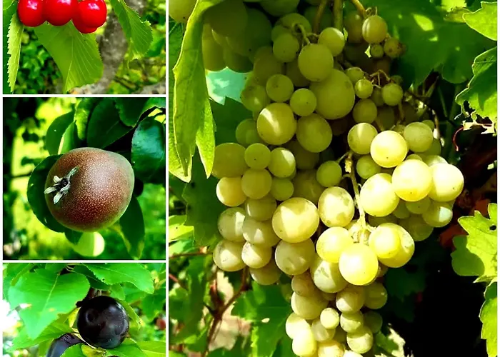 Casa Stella Frühstückspension