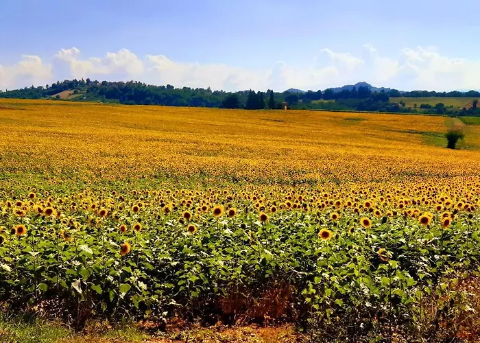 Casa Stella Frühstückspension Savigno